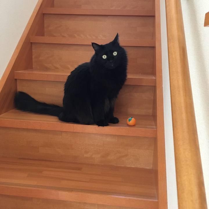 463224e9 61c8 407b b8fd 3178338fde9a 1515846128982