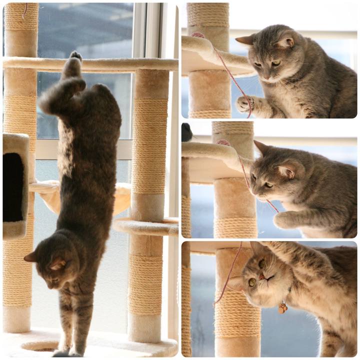 46324066 d181 499e ad5d 698ba66df613 1563264838751