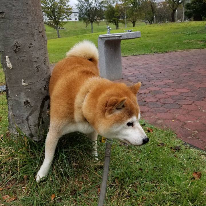 46324a4b e0bb 48de 9870 deddc5159614 1634018082210