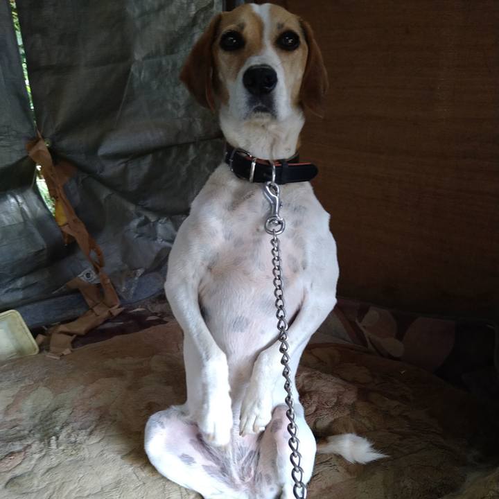 463256d0 2e39 4942 8f0e c544f6dc9225 1663065411262