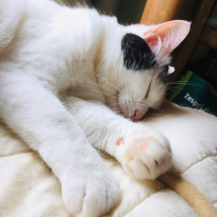 46325ba4 e7c7 40a2 a0a5 9e656b9f061b 1565503192344