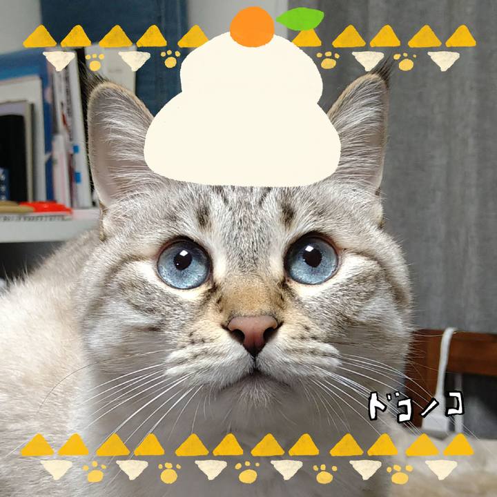 46326ff2 47e4 4bcb b55d 6991e864c153 1704365562557