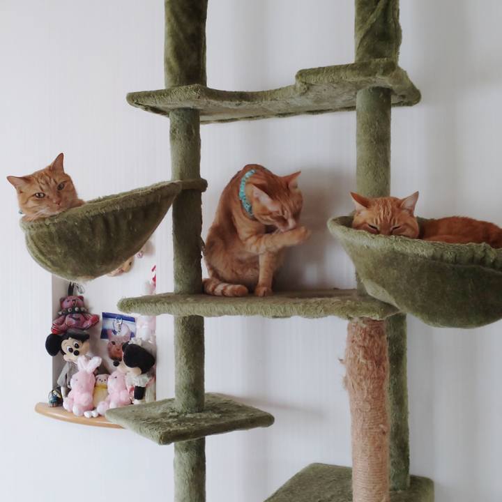 46329176 7d4b 4bba 93d8 854fad62e077 1742115572028