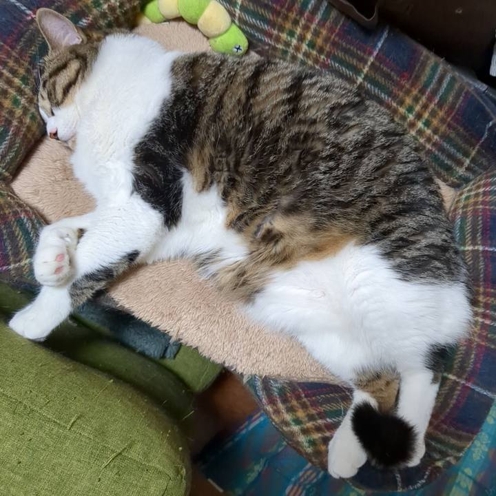 4632be10 cde1 40b8 a4b8 255eb20bb2de 1690895008963