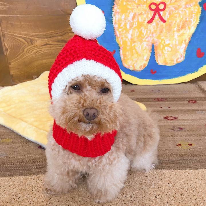 4632d0db 3446 4b54 9da2 97e27b29f5dd 1545384451517