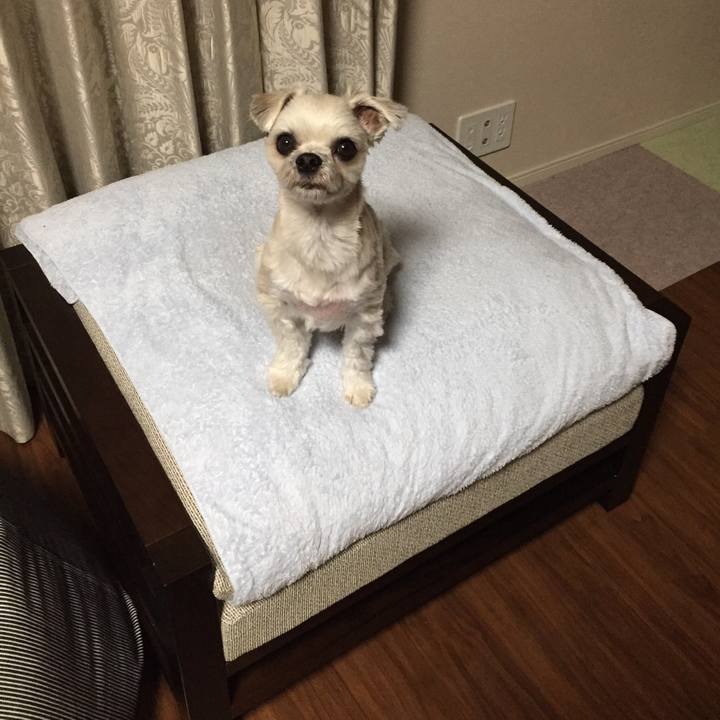 4632dec8 bc99 4af3 a7cb 5d65fb645414 1546644246303