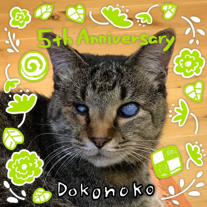 4632fd99 472f 40e9 9eec f59033cb9911 1622867058565