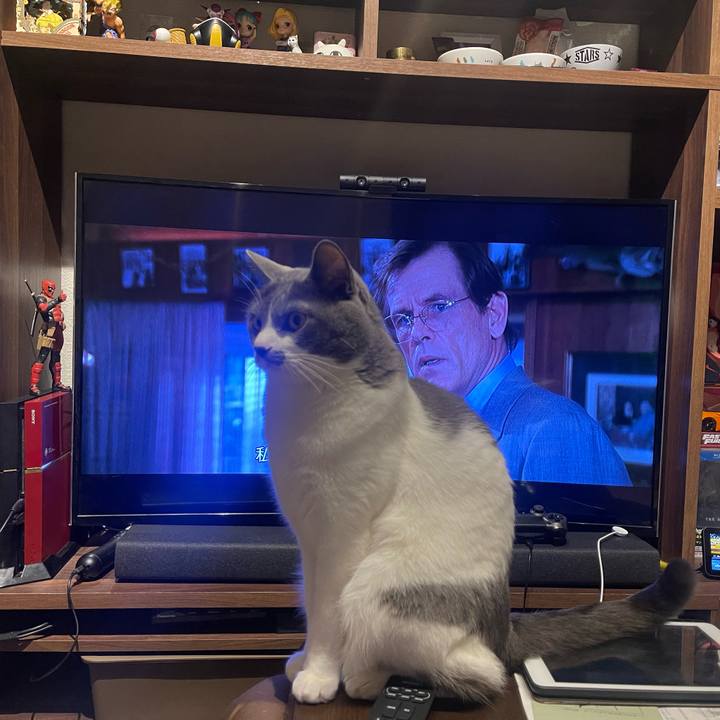 463311dc ed2c 495b 8e30 cf6b90ddb03f 1675949785350