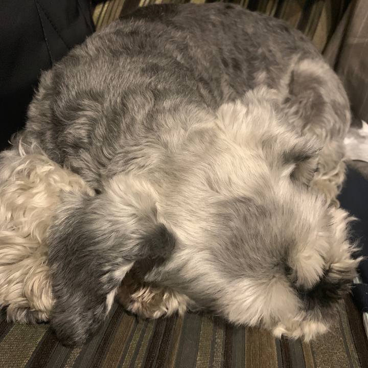 463318bf 0d30 4da2 80a7 5f7c47009def 1656413784190