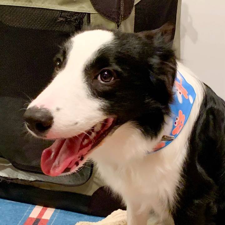 463345b7 28fd 4499 b1a7 bcef36a36069 1759713291440