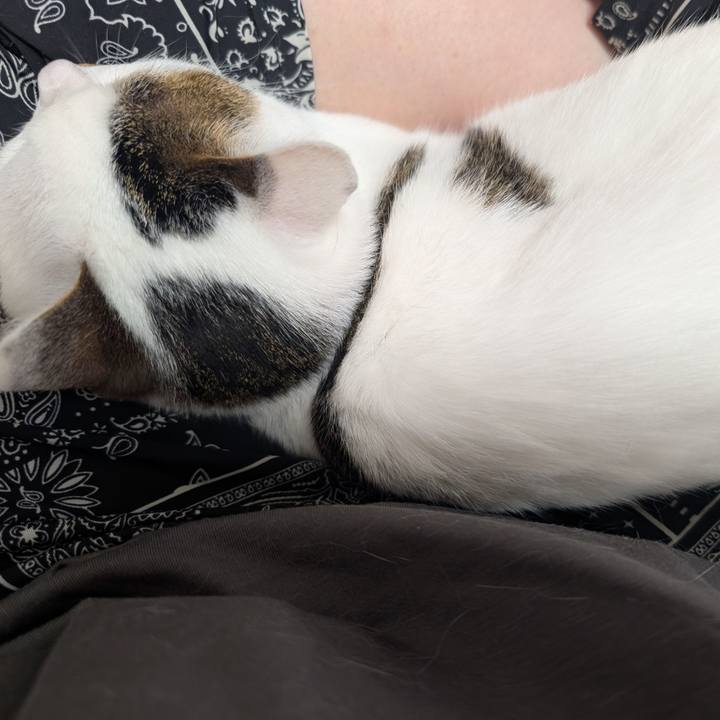 46335401 03c0 4a7f 95b5 2f689f4957ba 1752307648221