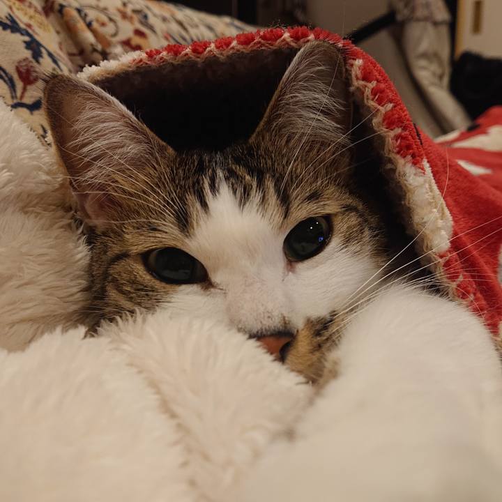 46336502 b9f4 45ed 8c2a f6e4ff846480 1674567027050