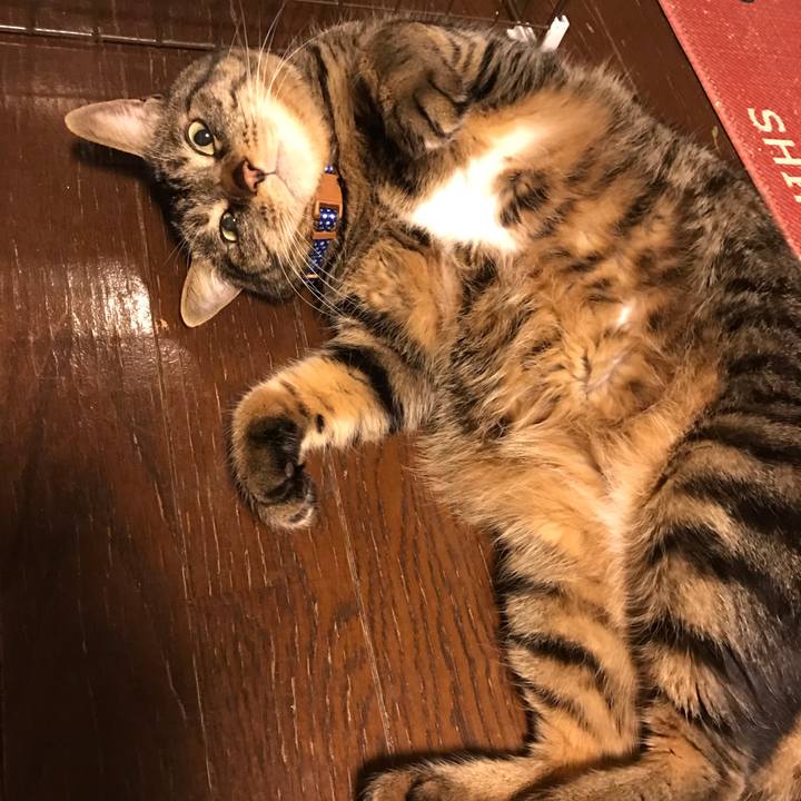 46336692 25c9 40a2 8c35 713f16c42ddb 1641903829236