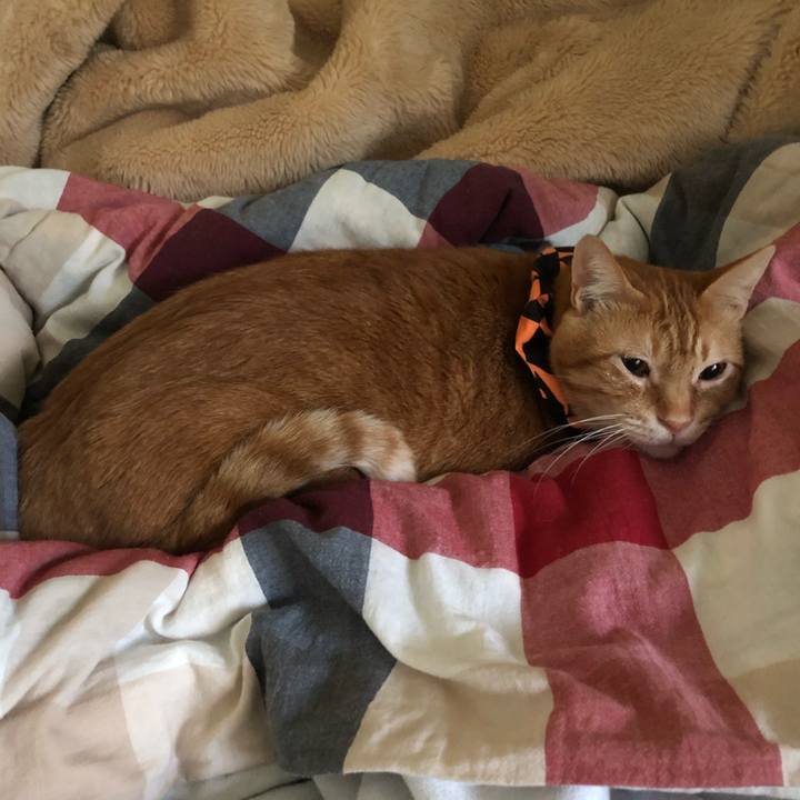 46336f2f 4089 417d abc2 a322274117c2 1571266147264