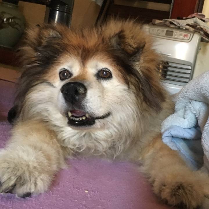 46338a93 d0a8 41d6 b5b0 0805d51b731a 1583201422303