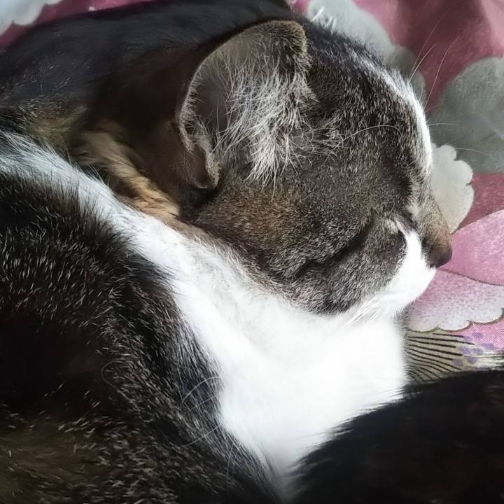 46338fea f967 420e ad54 d45630789113 1615097608658