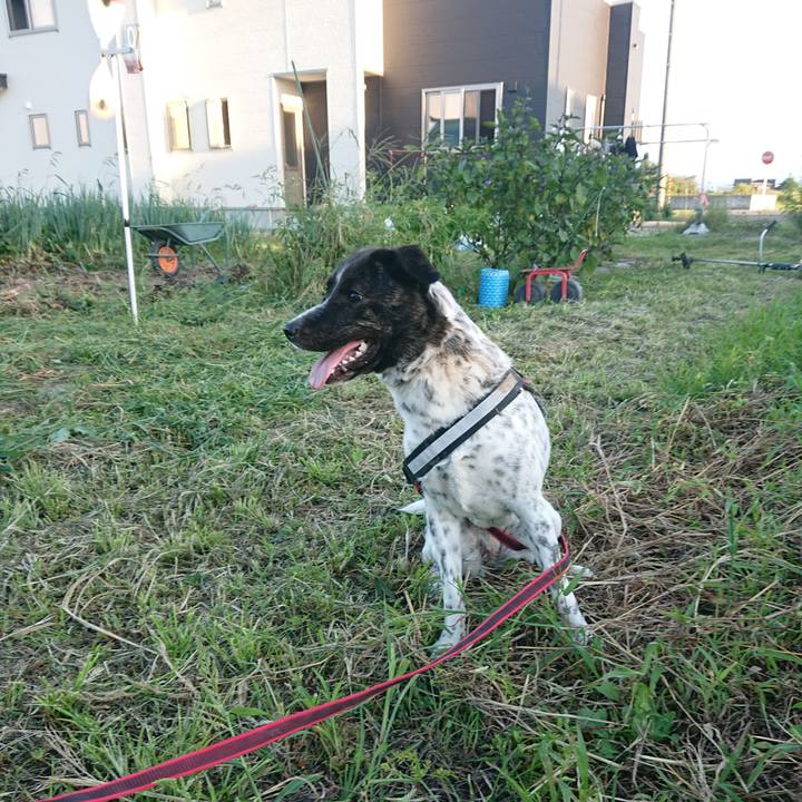 4633c234 f24f 4bde aa53 aafaa222b015 1662897688362