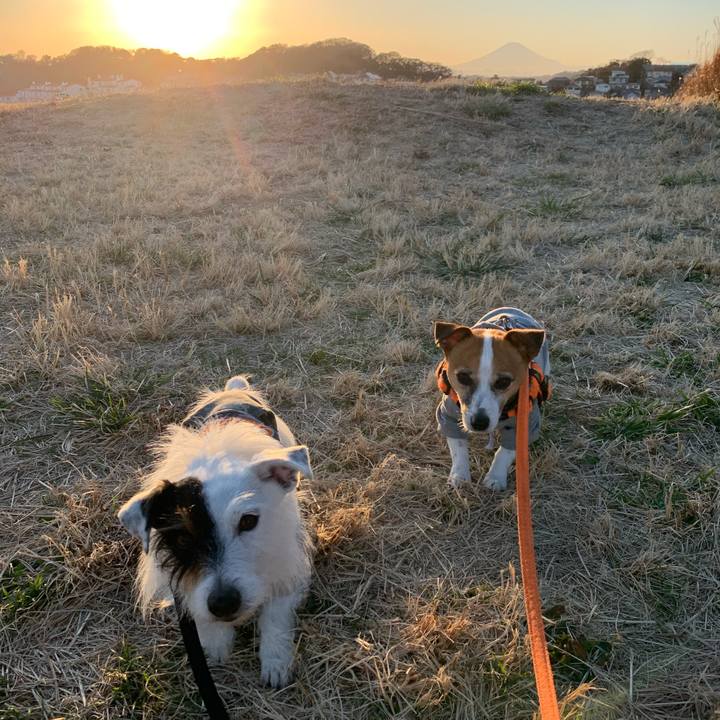 4633cfc3 6aa5 46b3 8c6c e591a57102f0 1581928024560