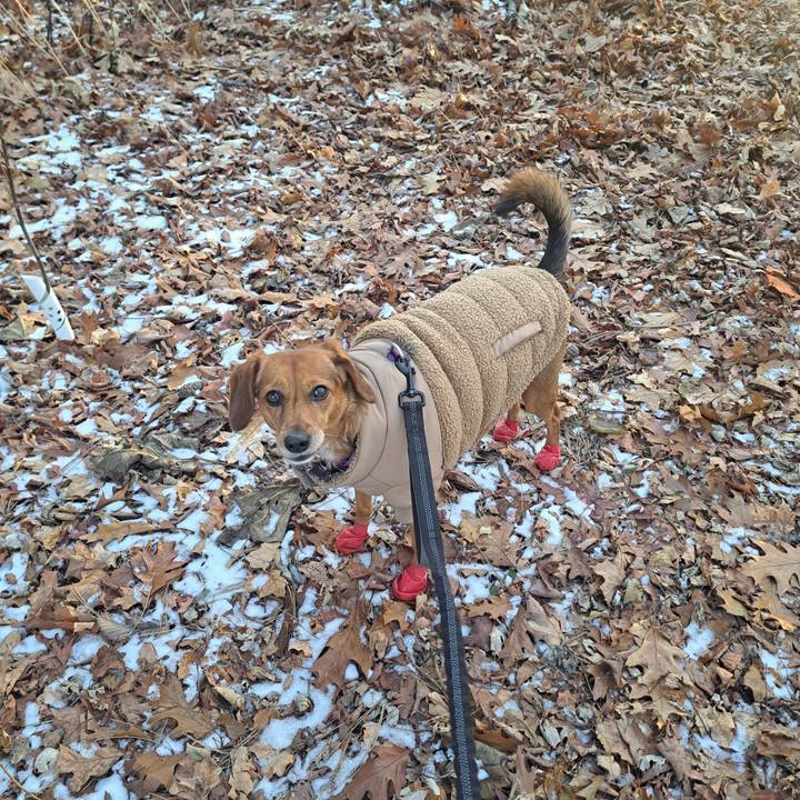 4633dfba a54b 421a 89a2 c1daab44ac34 1764972463871