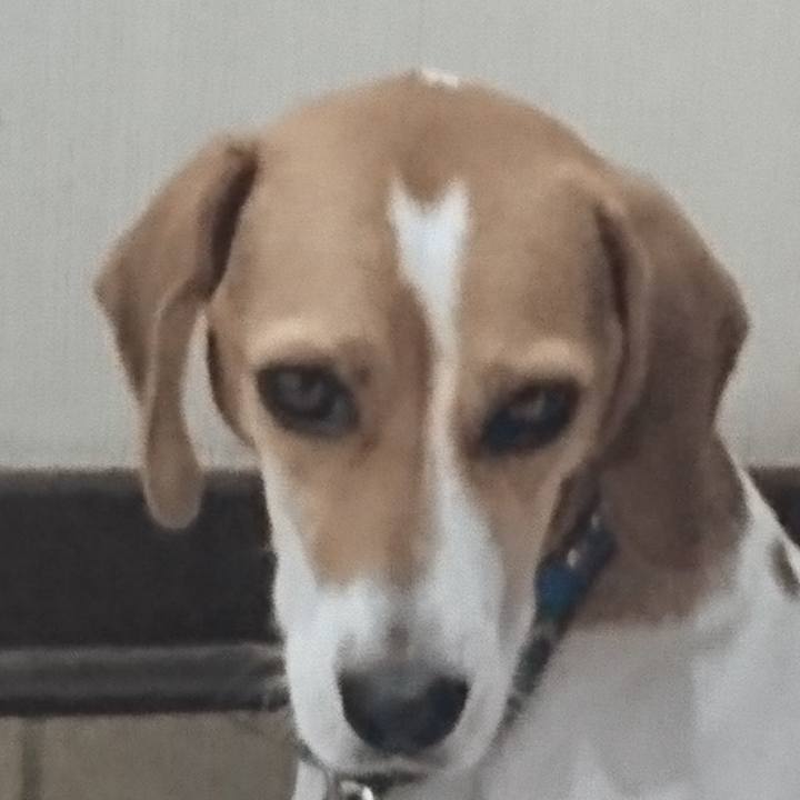 4633eaf0 cd46 460d 82ea 5816be484a09 1574923545447