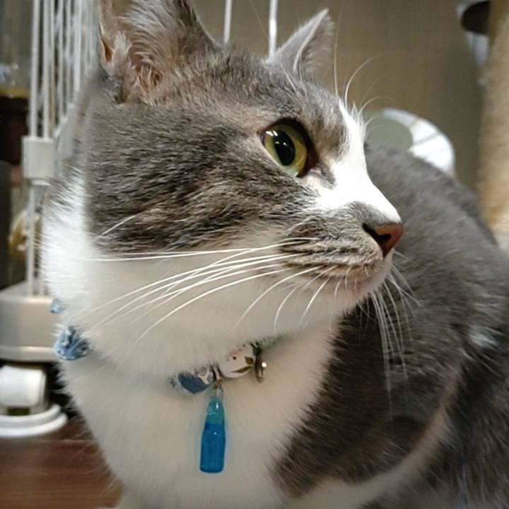 4633f9fb 077b 4781 8766 8c70f0d701e8 1671271614834