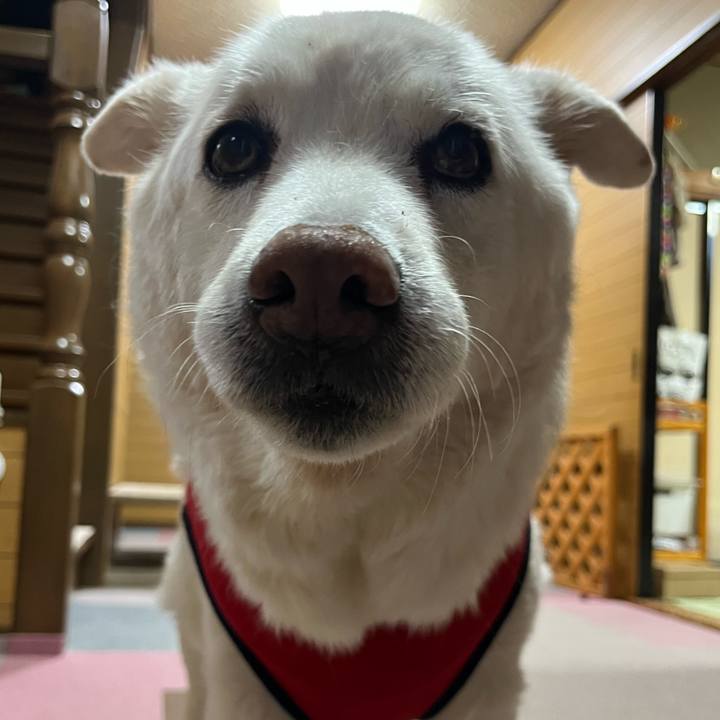 46342539 c016 4301 be9e e2c6cb8b5d20 1766716536408