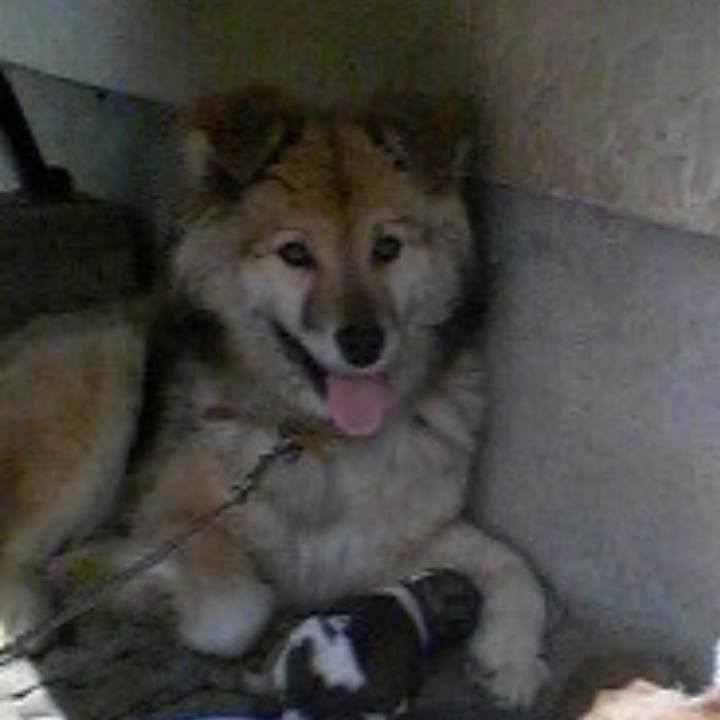 46349872 22c9 4277 ab54 e7a358208040 1560621118020