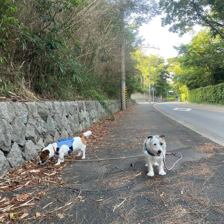 4634fc11 89f1 4a77 8bd4 a8c005acbb78 1756593167512