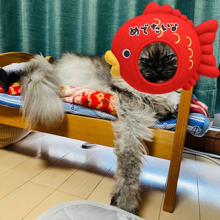 46353a10 6fab 443a 8a1a 9284ed805281 1735824418924