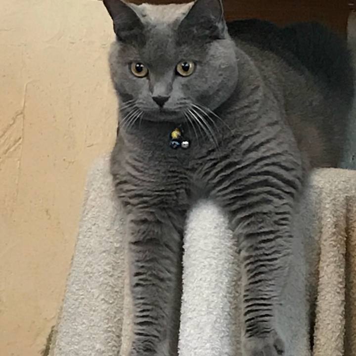 4635bddf 9542 445f 81fd dd10c44a2126 1533956693193