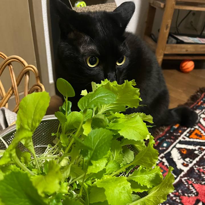 4635d331 de14 4bd7 8990 f21625f9bc1d 1763561364641