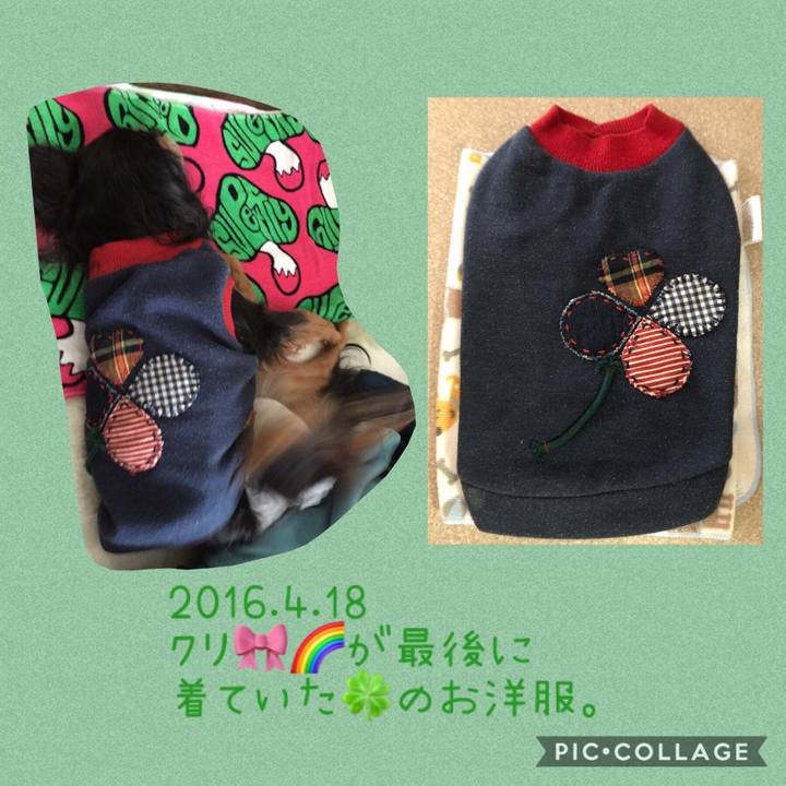 4635fce4 7ccf 46a8 ba9b 9f2330c72e5b 1556587711667