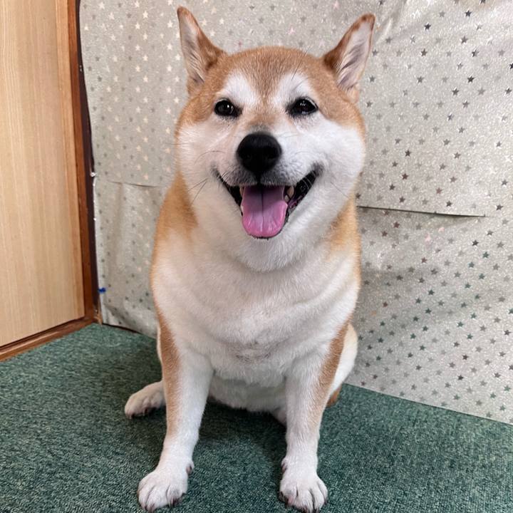 4635ff52 797b 4ee2 8864 5a01d3c7cd31 1688253645025