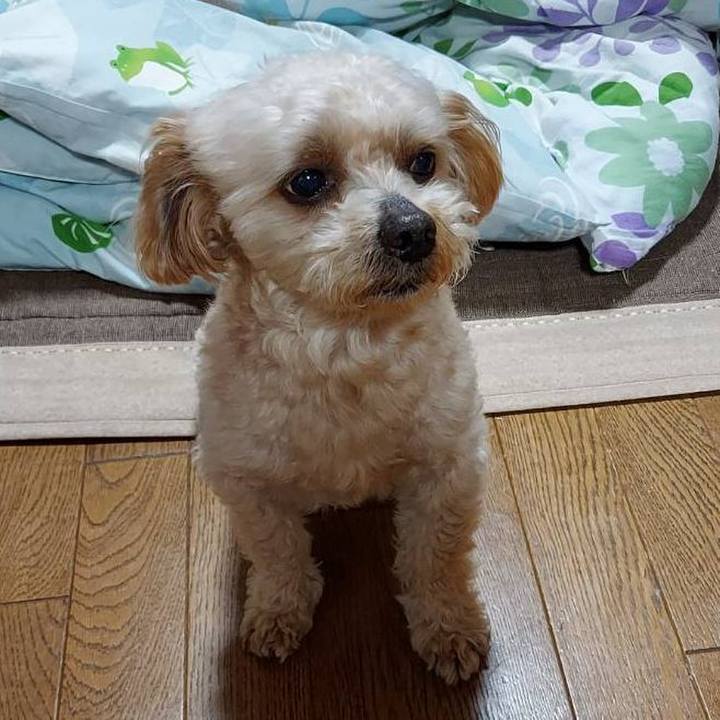 46360bda 49b3 442a be91 28c3d9b3688e 1624358356614