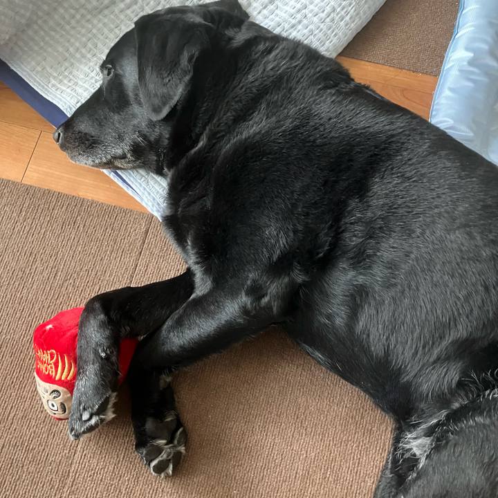 46360fb5 87e0 48b0 b1ad 96cf6fb7750c 1750568396222