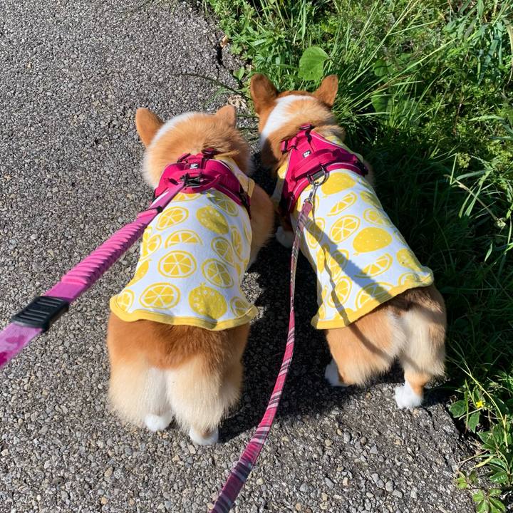 463612dd 232e 4494 86b0 4fcac66abab1 1619911639639