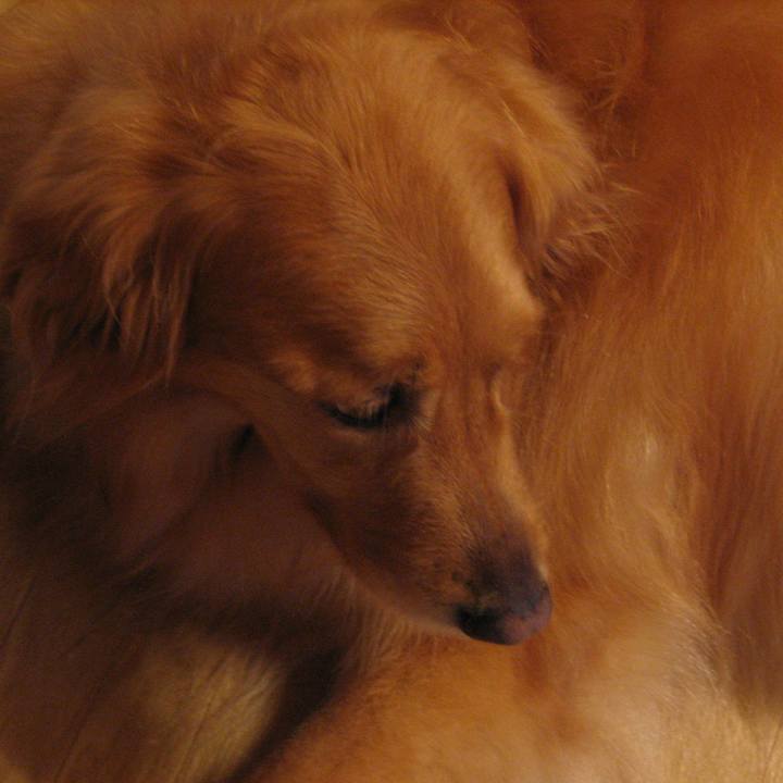 463631dc 9176 4bfd 8f80 ed712617aaf6 1528903174125