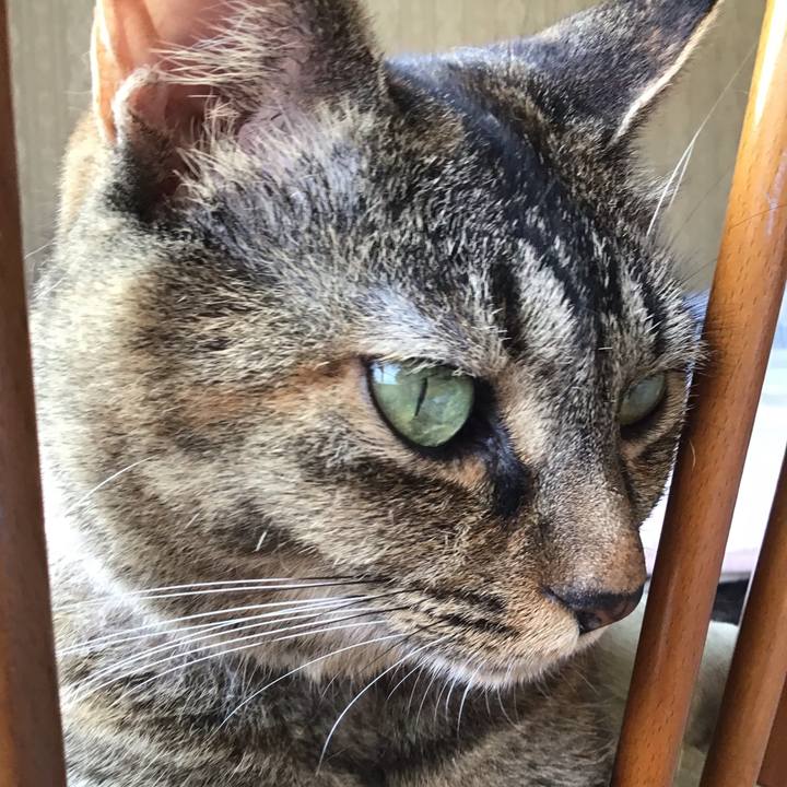 4636584b 6094 4c47 a22c 62ac6fa6b594 1658916069173