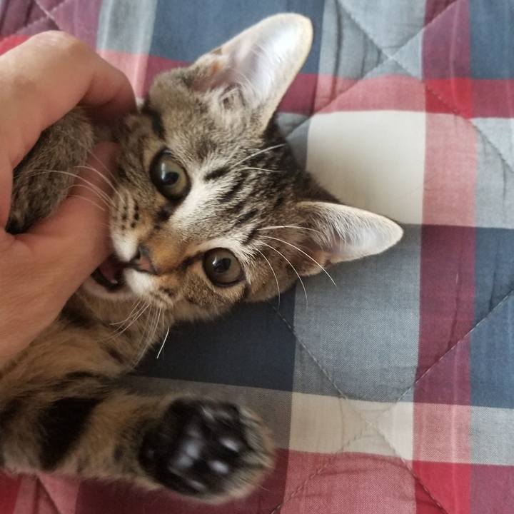 463675bb e316 4eee 8697 589806b6e2e7 1538011386902