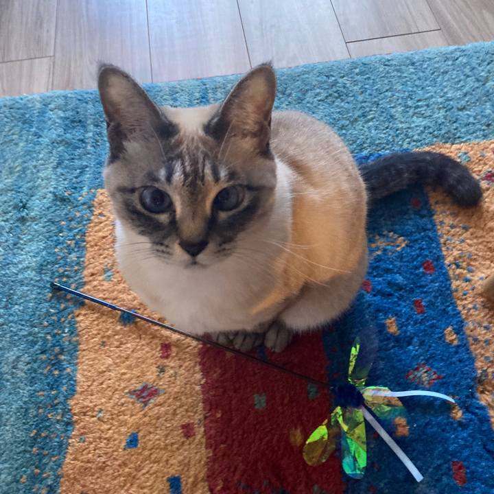 463683fe 4567 4cd5 83d6 c0a1f8dbfe36 1739601878283