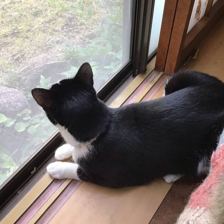 46368698 815a 4a67 b8e9 cdd6c883c44f 1655454318581