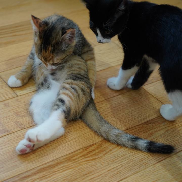 4636f12a 663f 4362 a0d2 5c8f7a6e6d1d 1569401381495