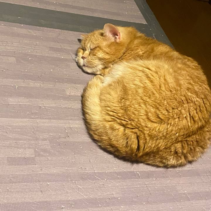 4636fb9c 747a 4991 8408 27e117808ea3 1679193369558