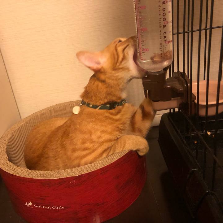 46372c6f 17eb 40e3 bb5d 5970a1b9a0cc 1632820339879