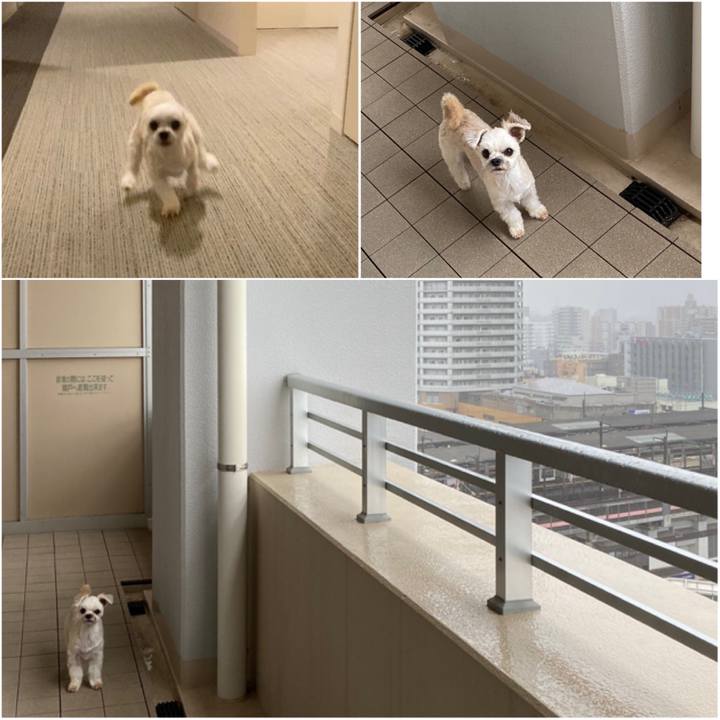 463742d4 2a0d 466b b763 edbbaa07053b 1570840435691