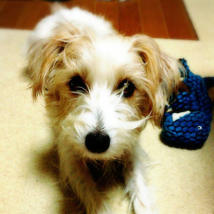 46374403 8a99 44b3 bfb0 69f63187ebb3 1513169476567