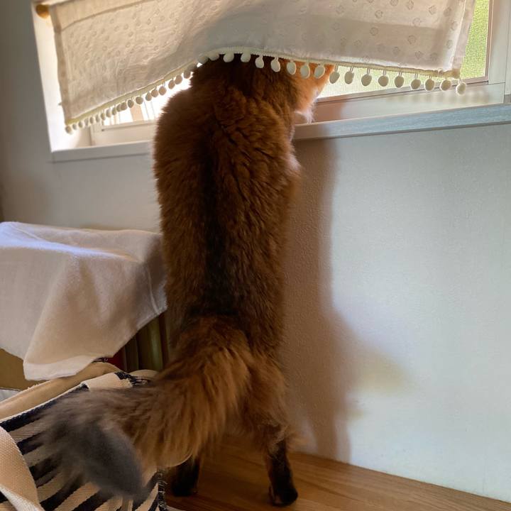 4637527c 4350 4742 979a 113979ec207d 1657156454449