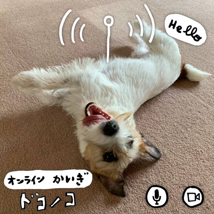 4637631f 545c 479e 8935 36451269ee30 1591577590556