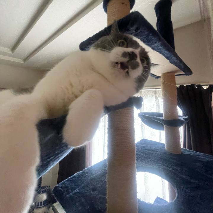 4637a7ef e8d4 4f75 b7b8 3a873e3cdd43 1721633218493