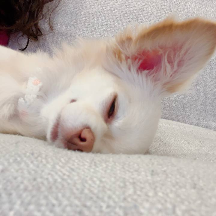 4637b1bf 7ed8 458a a563 c76146cff894 1716295075368